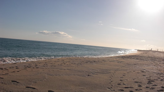 Beaches